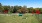 fenced dog park with trees in the background